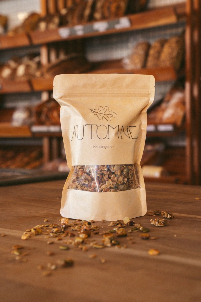 Granola maison noisettes, chocolat et noix de coco